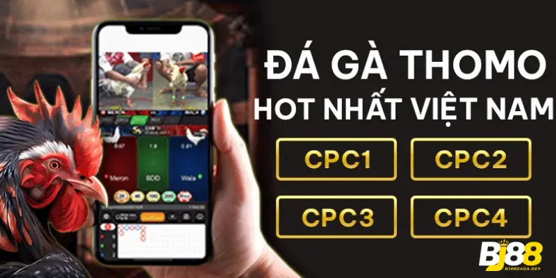 BJ88 - Nhà Cái Đá Gà Thomo Trực Tuyến Uy Tín Hàng Đầu 2025 8 Đá gà BJ88: Cá cược đỉnh cao không thể bỏ lỡ.